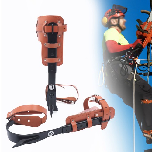 Tree climbing spike set - tree,